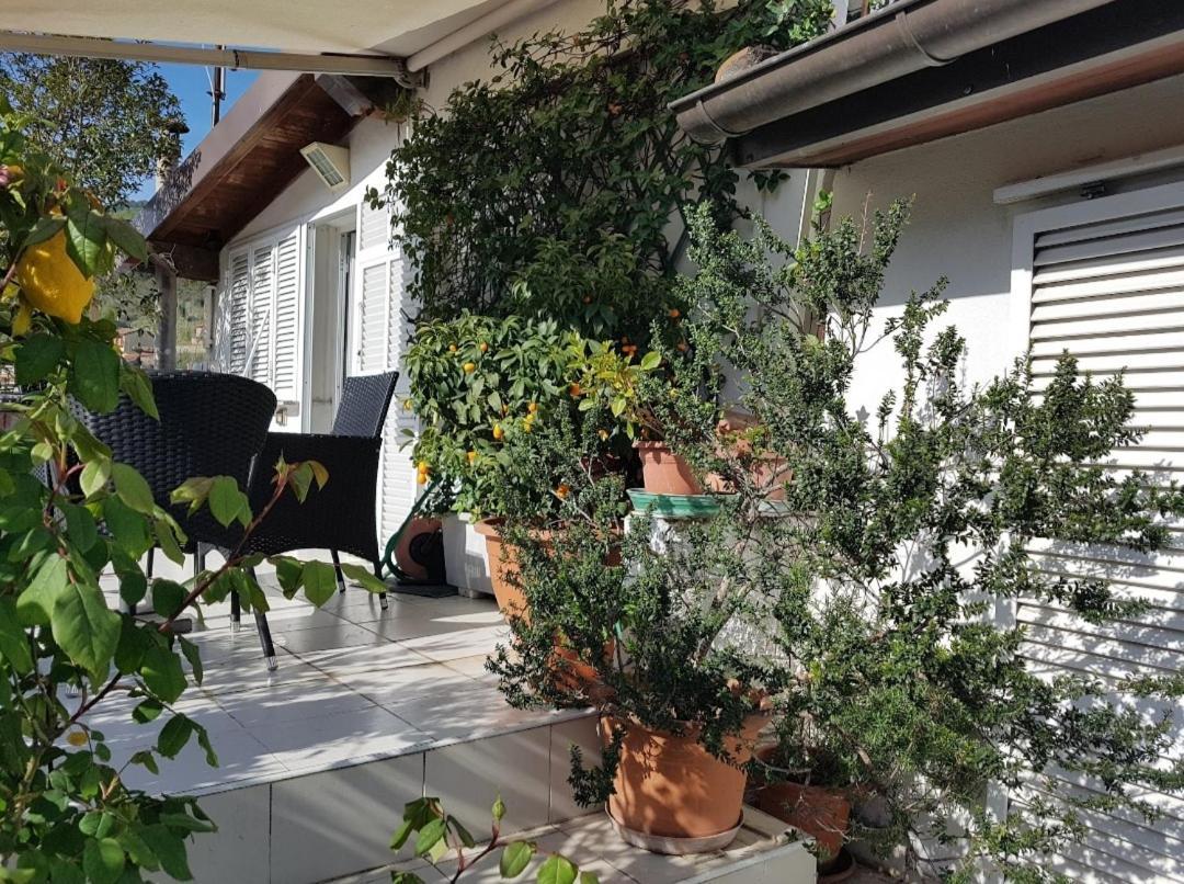 B&B Dei Doria & Suite Dolceacqua Kültér fotó